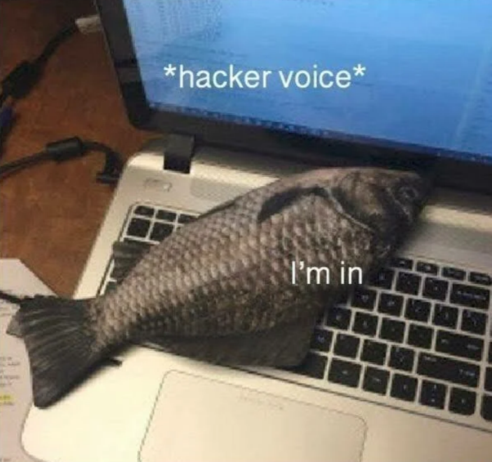 Hacked Casino using lobby's fish tank's thermometer